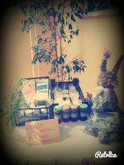 Hiša vseh generacij 7